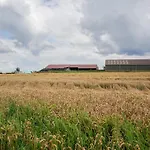 度假居 In With Terrace