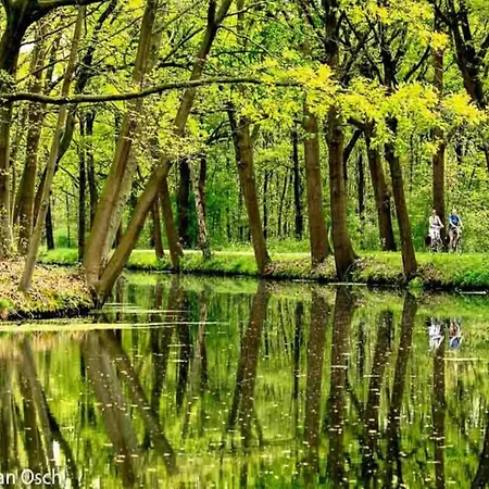 Holiday home Serene In With Terrace And Nature Garden
