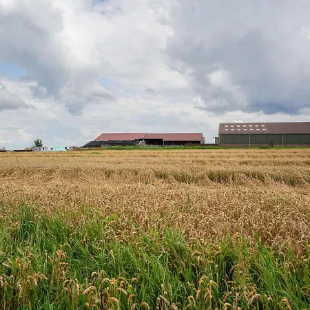 Serene In With Terrace And Nature Garden Nyaraló Landgraaf