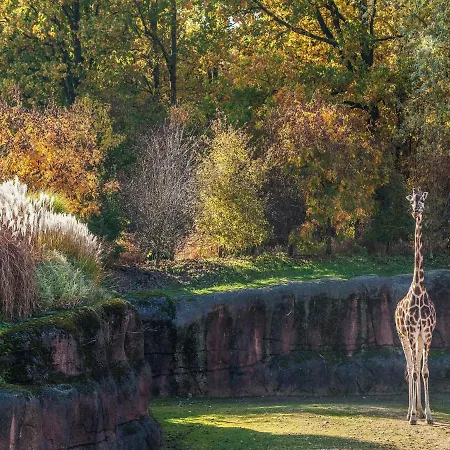 Nyaraló Serene In With Terrace And Nature Garden