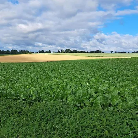 Serene In With Terrace And Nature Garden *