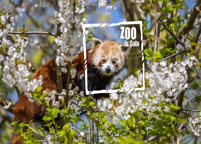 Holiday home In With Terrace