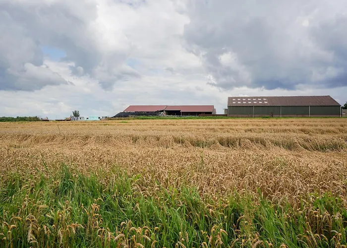Holiday home In With Terrace