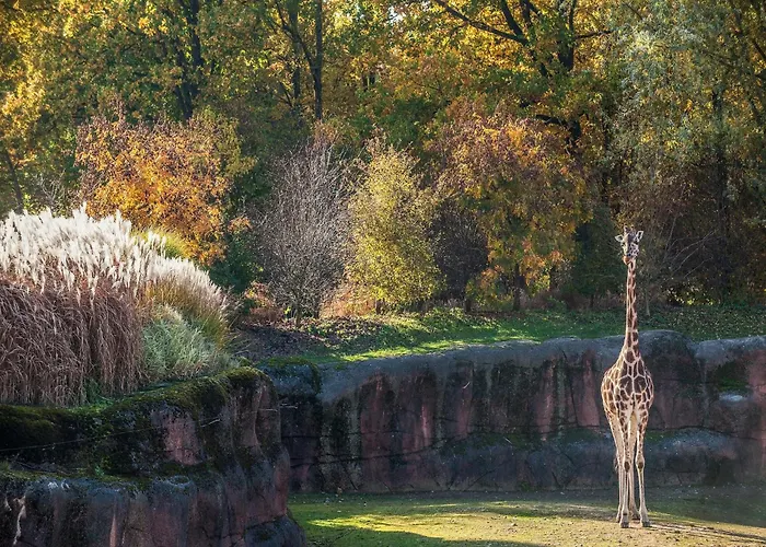 In With Terrace Holiday home *