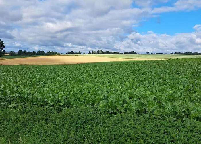 In With Terrace Holiday home Landgraaf